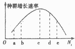 自然保護(hù)區(qū)的生態(tài)系統(tǒng)組成與鳥(niǎo)類角色
