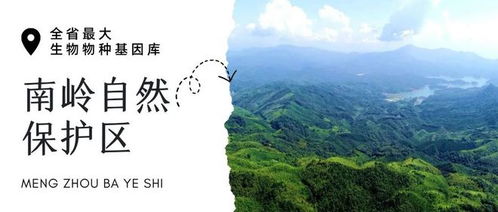 廣東味 家鄉美丨尋古韻 賞美景 品美食 請查收這份韶關深度游玩攻略
