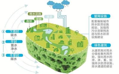 溫州全面推進海綿城市建設 市區建成區25%以上面積今年達到“水彈性”要求，強化自然生態系統保護管理